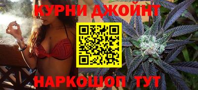 крисы Обь