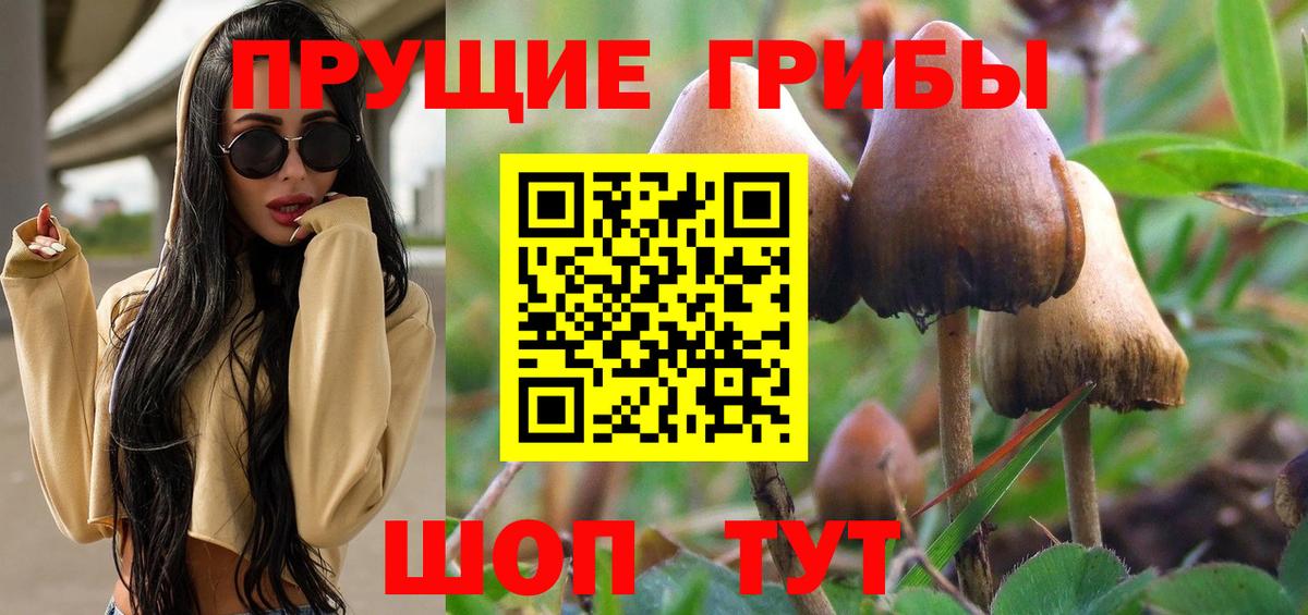 Псилоцибиновые грибы мицелий Краснотурьинск