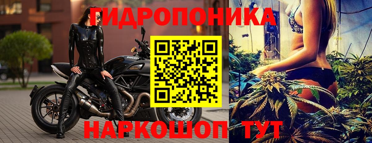 Конопля индика Краснотурьинск